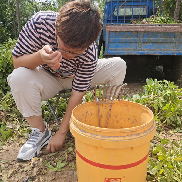 《iwown》摘菜剥毛豆神器采摘机摘毛豆机铁耙扒毛豆收割机家用工具