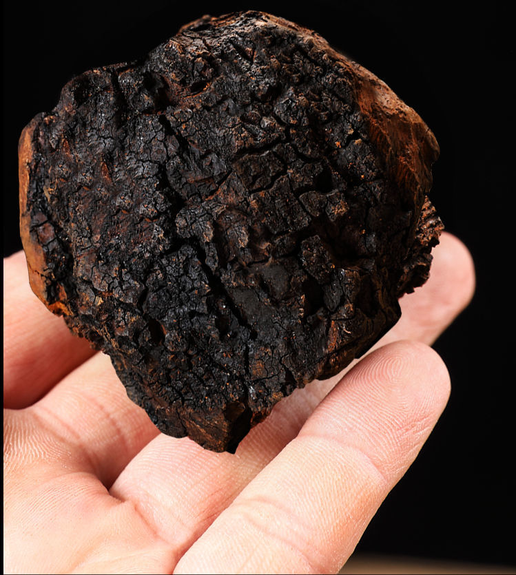 桦树茸野生白桦茸俄罗斯非进口黑金颗粒桦树茸茶长白山桦树精粉桦树茸