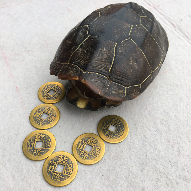 腾圣 算卦工具天然乌龟壳乾隆通宝铜钱六爻工具卦钱干净完整龟甲摆件