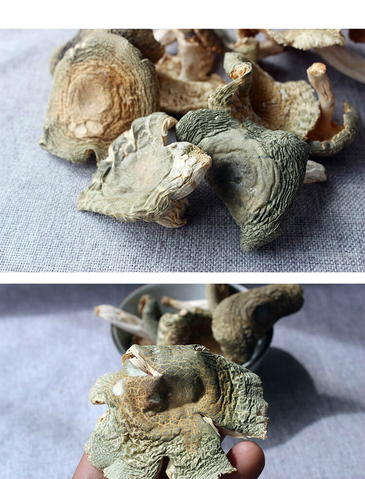 野生青头菌 蘑菇煲汤食材干菌子 青头菌干货100g 500g【图片 价格