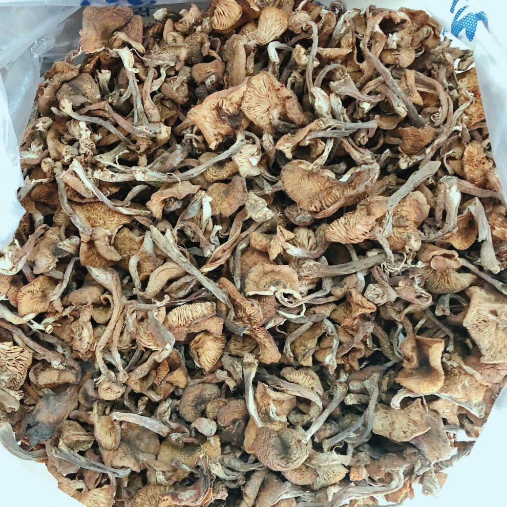东北榛蘑干小鸡炖蘑菇长白山榛蘑干货无根榛蘑小草蘑500g【图片 价格
