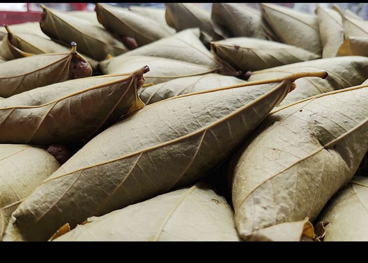 重庆特产新桐子叶麦子粑嫩包谷粑粑发糕叶儿粗杂粮馍早餐点心 桐子叶