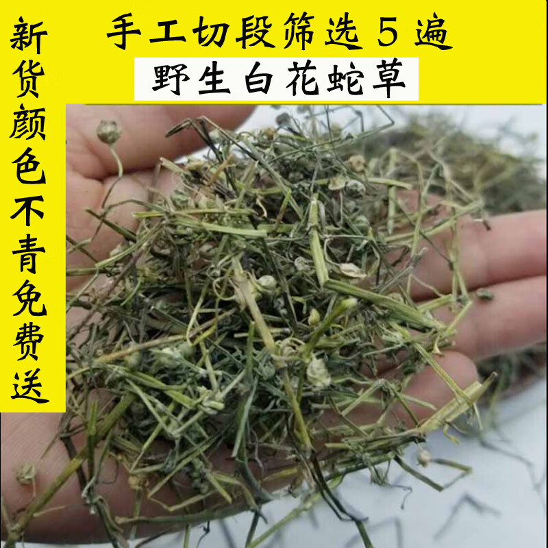 野外生草白花蛇舌草百花蛇舌草新品干货500克另售中药原材半枝莲康中