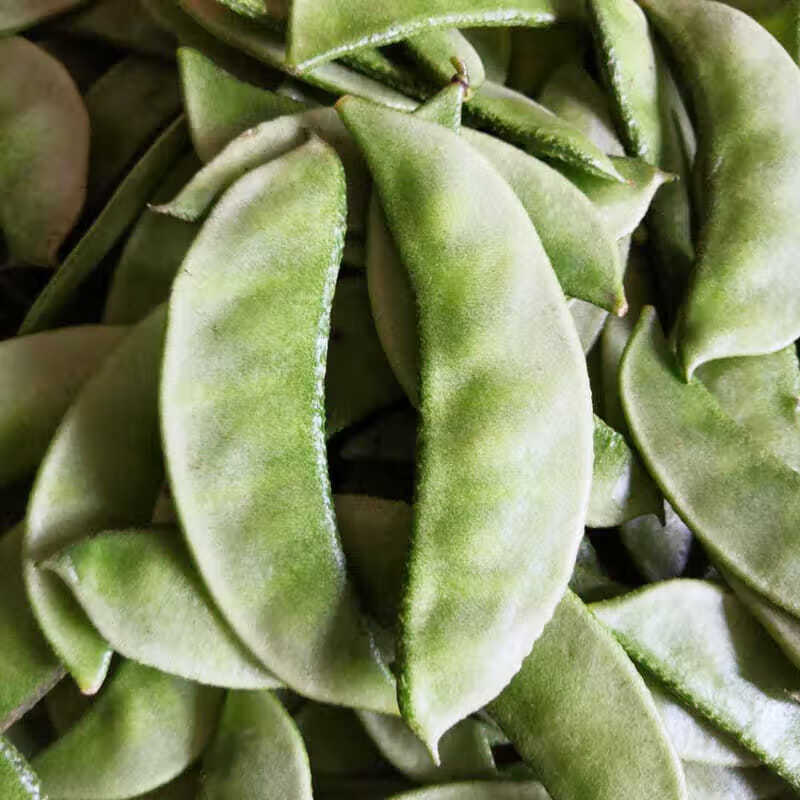 东北现摘气豆角 片刀农家扁豆绿眉梅豆汽豆猪耳朵新鲜蔬菜4斤 2000g