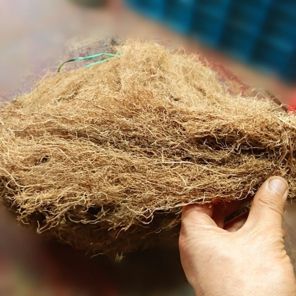 有仁堂 中草药野牲白龙须 贵州八角枫根须状根八角梧桐细须根500克