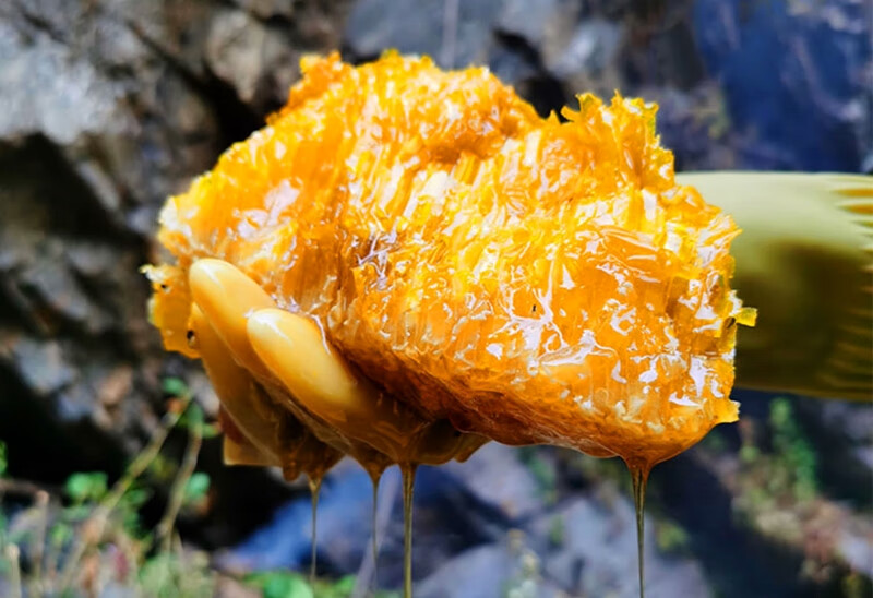 张璐野生悬崖蜂蜜云南深山高原土蜂蜜天然纯正农家无添加成熟原蜜