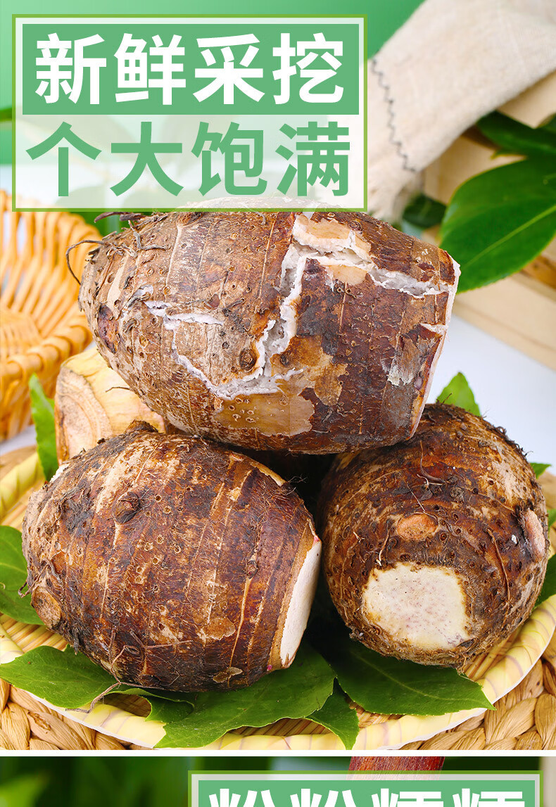 新鲜广西 应季香糯魁芋农家自种毛芋头 头 5斤- 精品大果【图片 价格