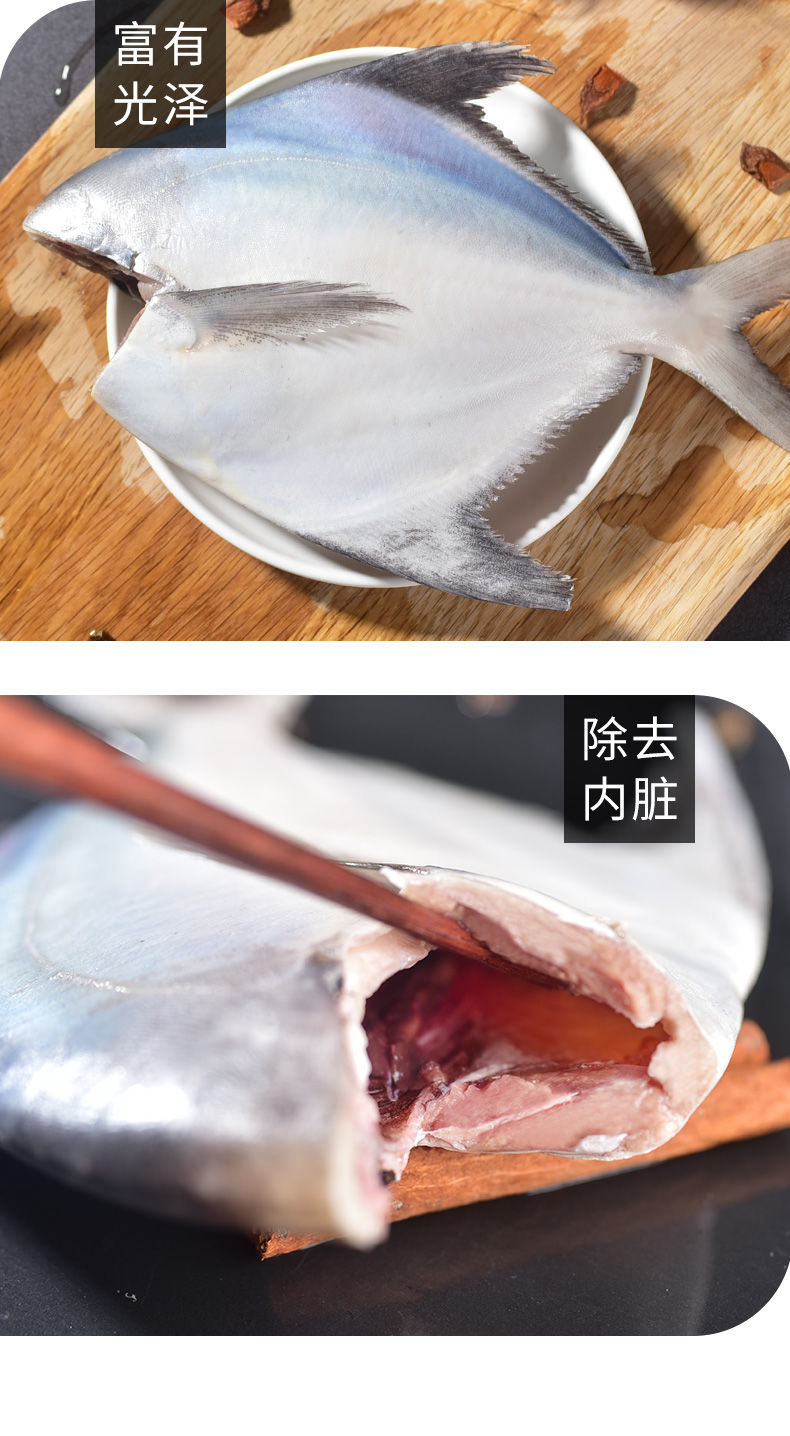 去头银鲳鱼新鲜银鲳鱼去头去内脏冷冻海捕大银鲳鱼水产批发去头内脏89