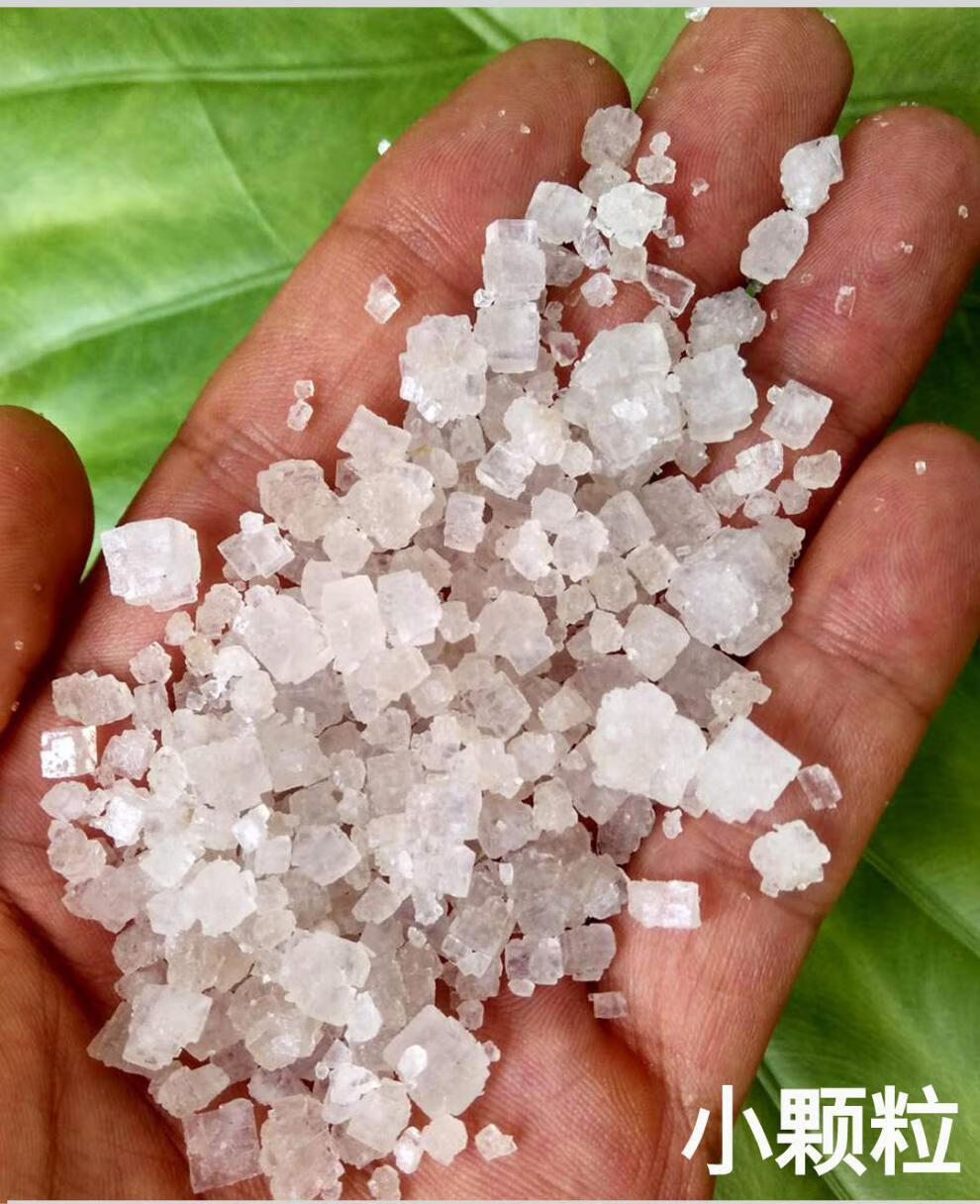 55斤粗盐盐焗盐天然盐腌制盐大颗粒盐无碘盐天然海盐细末颗粒10斤