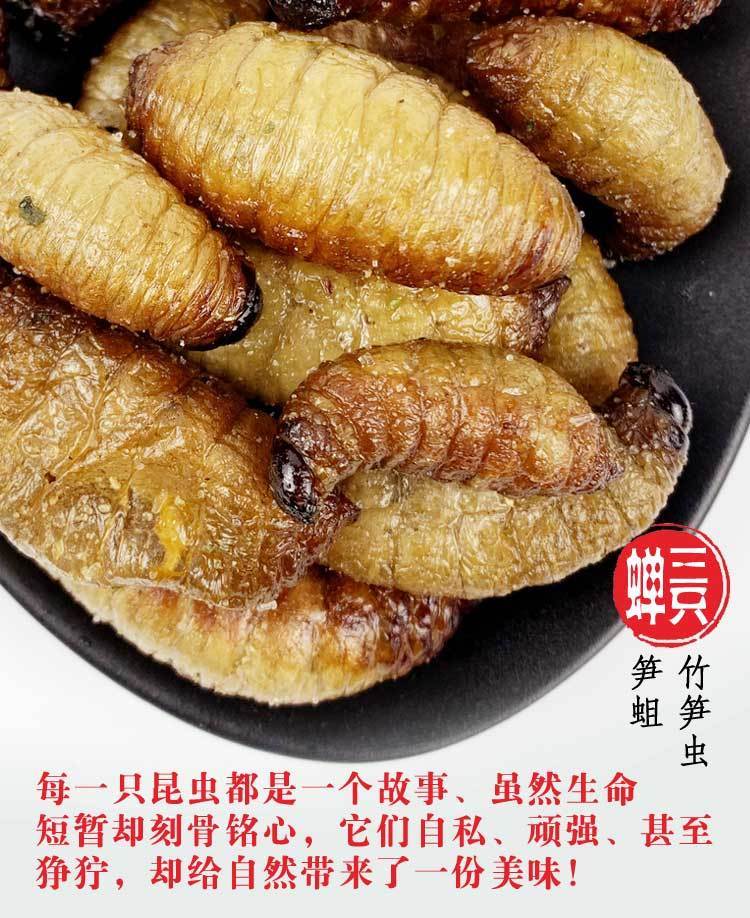 山区林地竹笋虫昆虫美味虫食用美食竹蛆虫油炸笋虫竹象幼虫子 试吃五