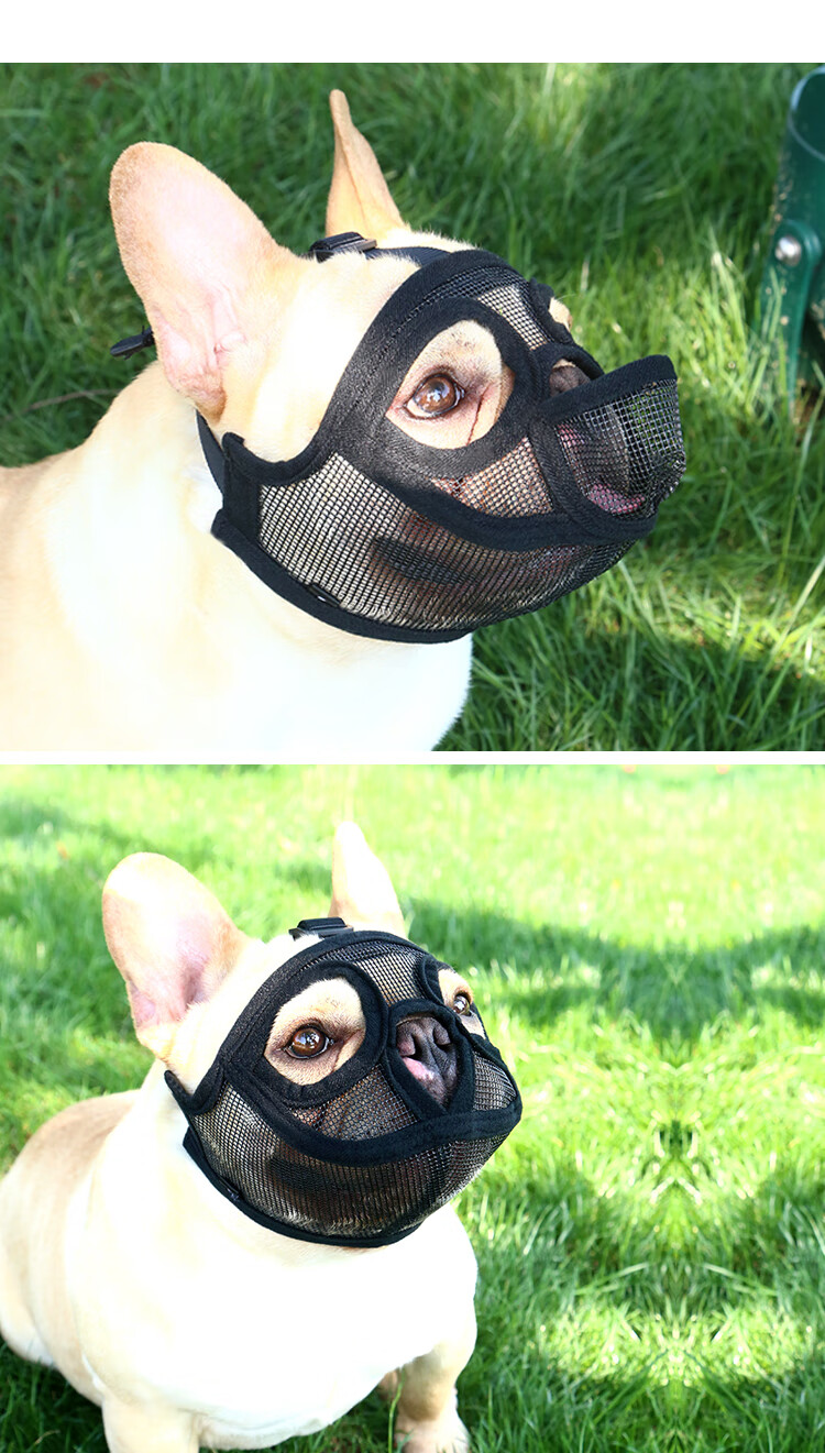 法斗嘴套防咬防乱吃斗牛犬嘴套英斗八哥巴哥犬口罩短嘴狗嘴套面罩