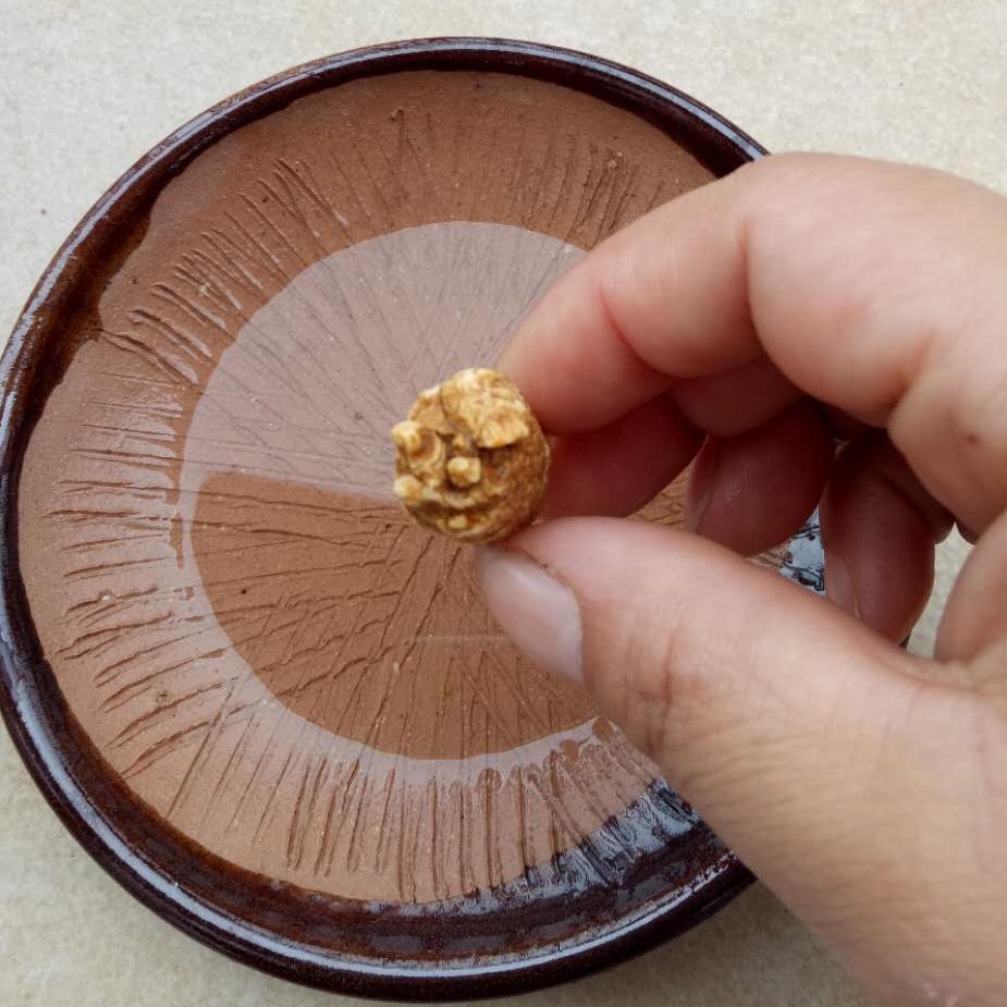 老式羚羊角研磨碗手动磨西洋参田七水牛角中药研磨碟家用研磨药碗