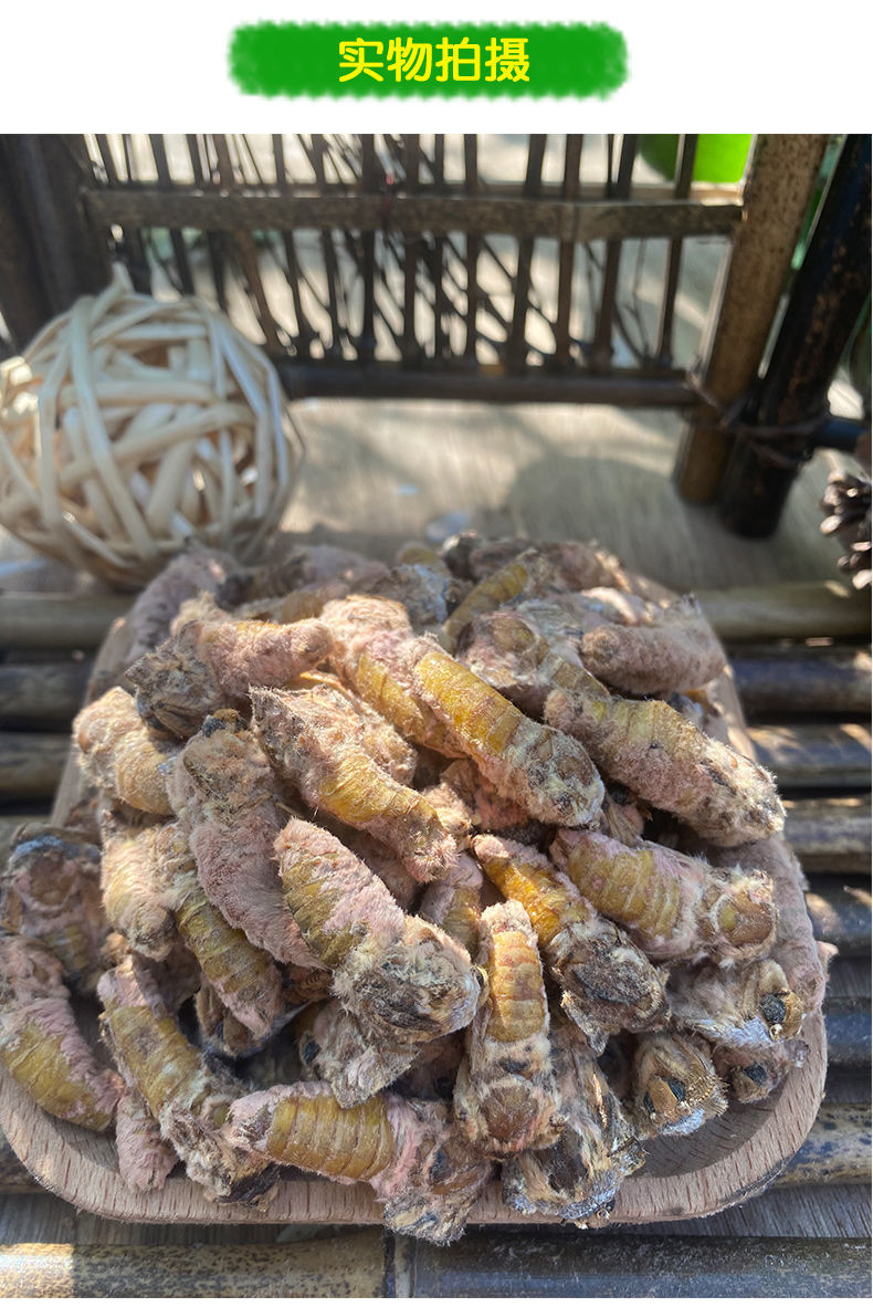 雄蚕蛾鲜活柞蚕雄蝉蛾公活体速冻未交尾不干瘪新货一斤