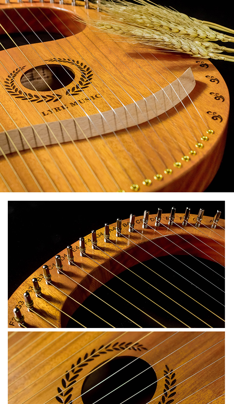 古典莱雅琴19/21/24弦初学者竖琴箜篌冷门简单易学小乐器 经典咖啡19