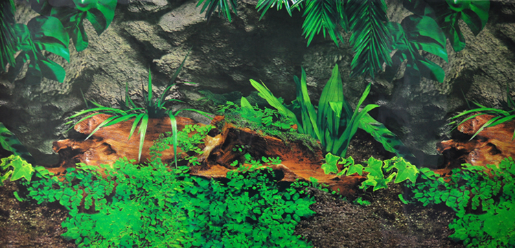 鱼缸背景图画纸高清图3d立体鱼缸装饰贴纸壁纸水族箱造景装饰贴画70高