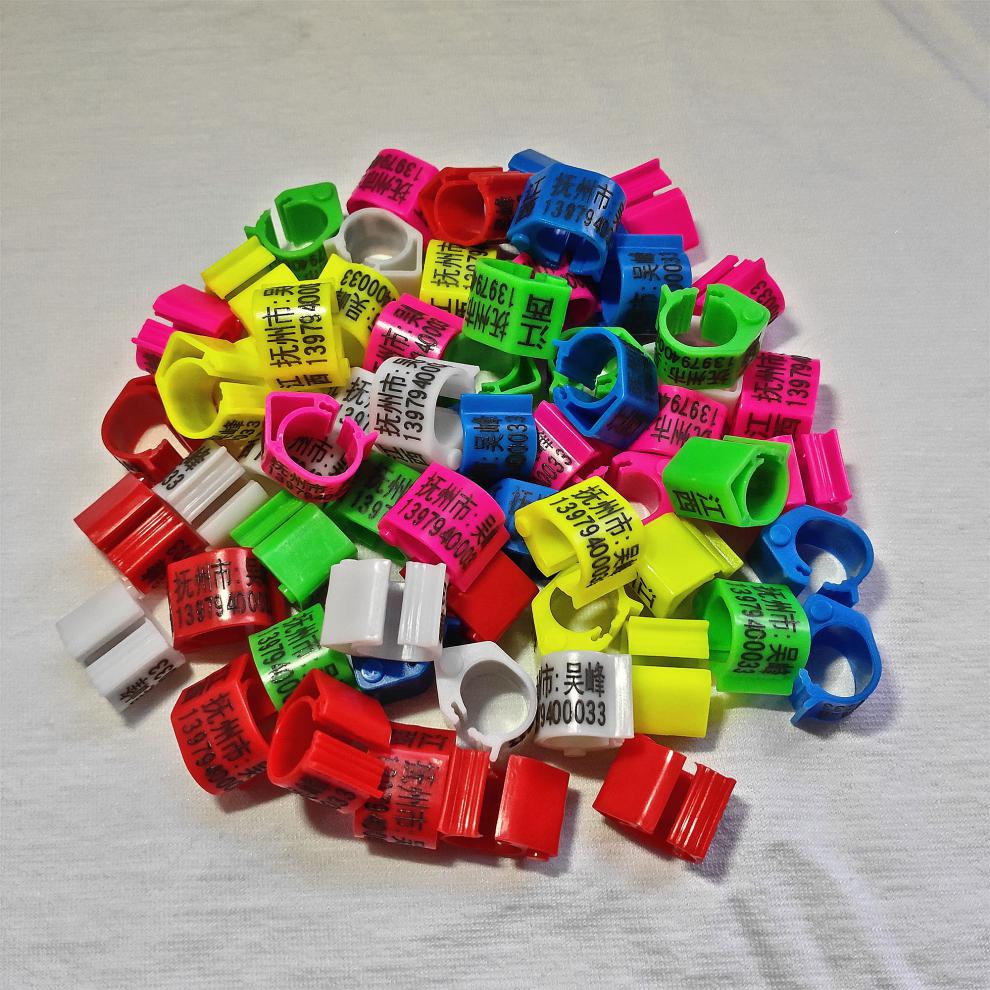 鸽子脚环定制信鸽足环订做私人脚环开口识别环记号环鸽子用品用具