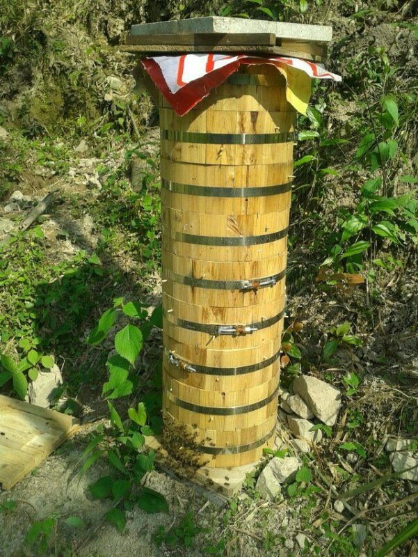 诱蜂桶中蜂圆桶格子箱蜂箱土蜜蜂蜂桶土养木桶杉木诱蜂蜂具龙泉蜂箱