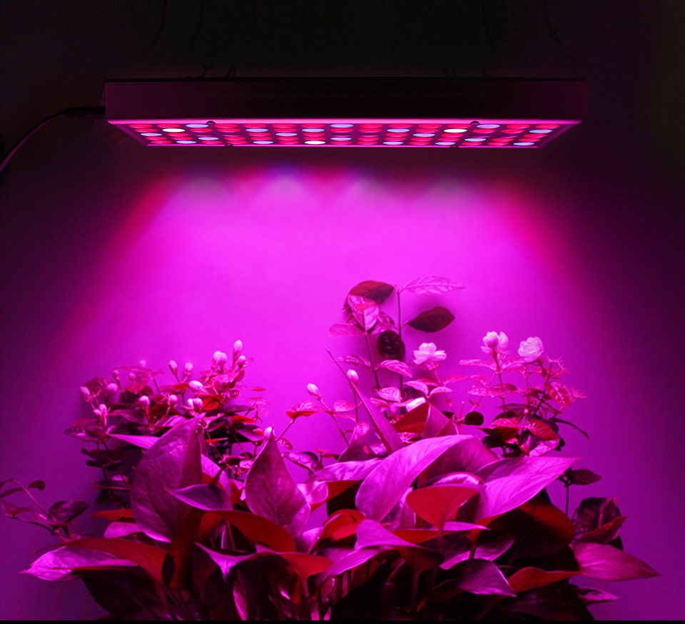 led植物生长灯多肉补光灯25w45w50w300w植物照明花卉补光灯 25w【图片