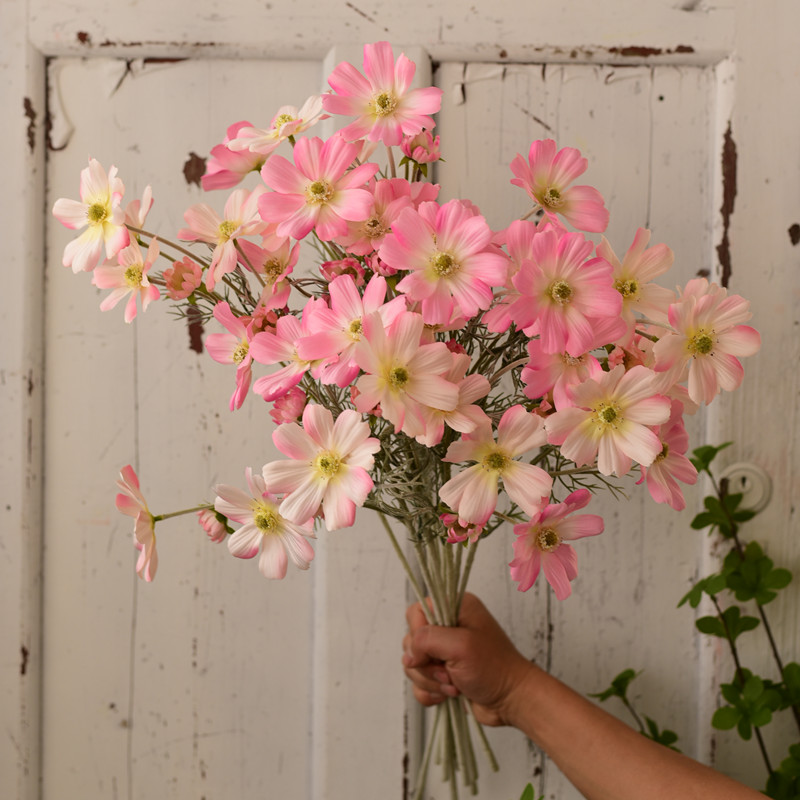 times仿真花波斯菊北欧室内假花客厅桌面茶几单支小清新装饰花花束