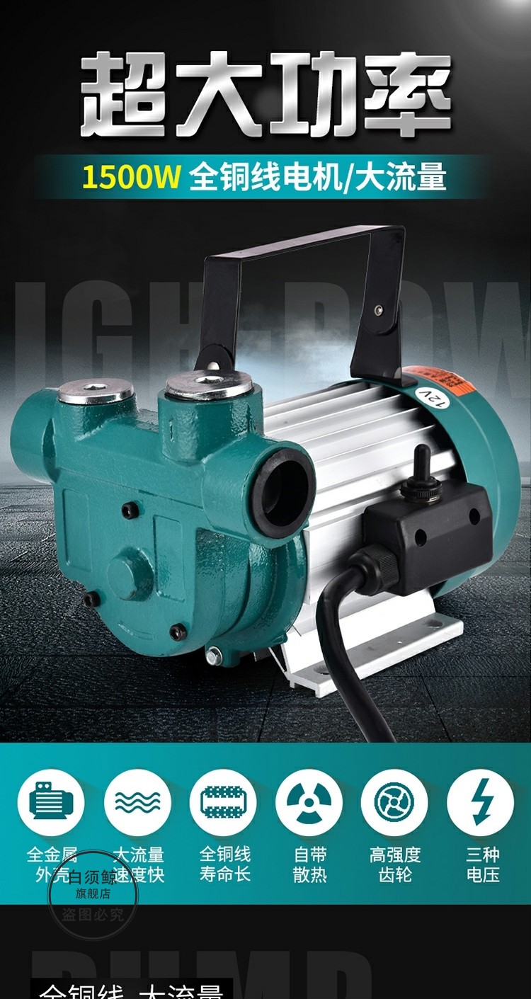 大功率抽油泵12v伏油泵柴油抽油机抽油器加油机加油泵1500w220v6米