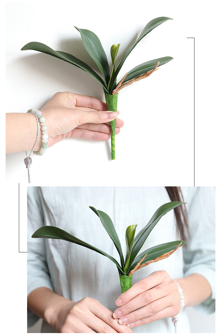 兰花叶蝴蝶兰叶子ins仿真花厂家家居装饰婚庆手捧花墙植物墙假花大号