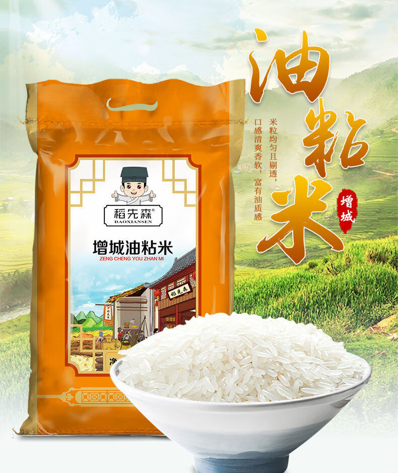 稻先森增城油粘米广东特产农家大米5kg长粒香米10斤 15公斤【图片