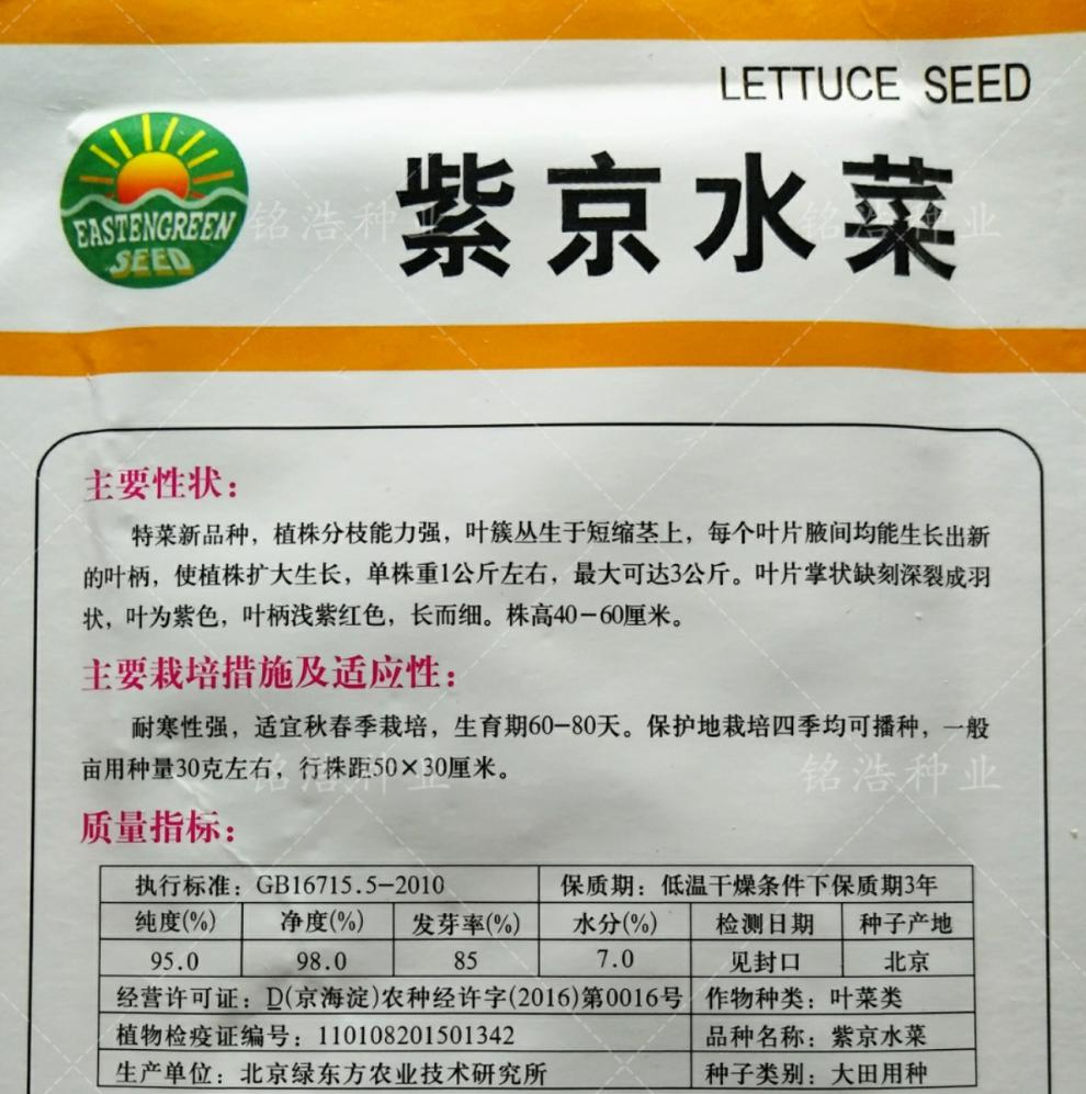 紫京水菜种子紫水晶菜种籽香味浓郁春季四季特色蔬菜青菜野菜紫京水菜