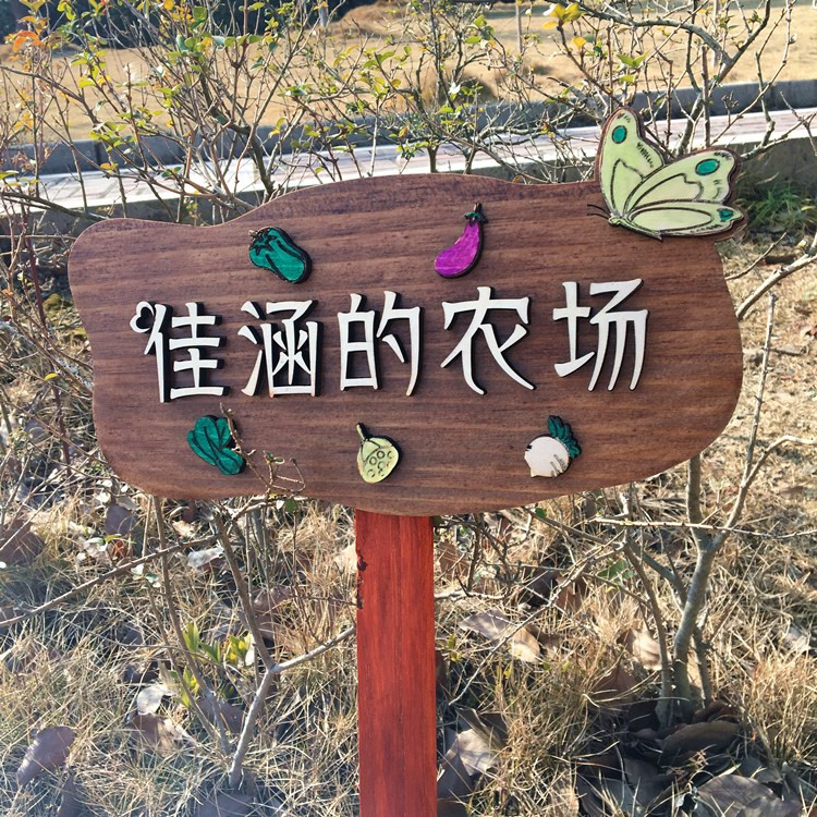 实木植物花草牌标签木质插地户外警示牌标识牌幼儿园菜园种植区牌欧琪