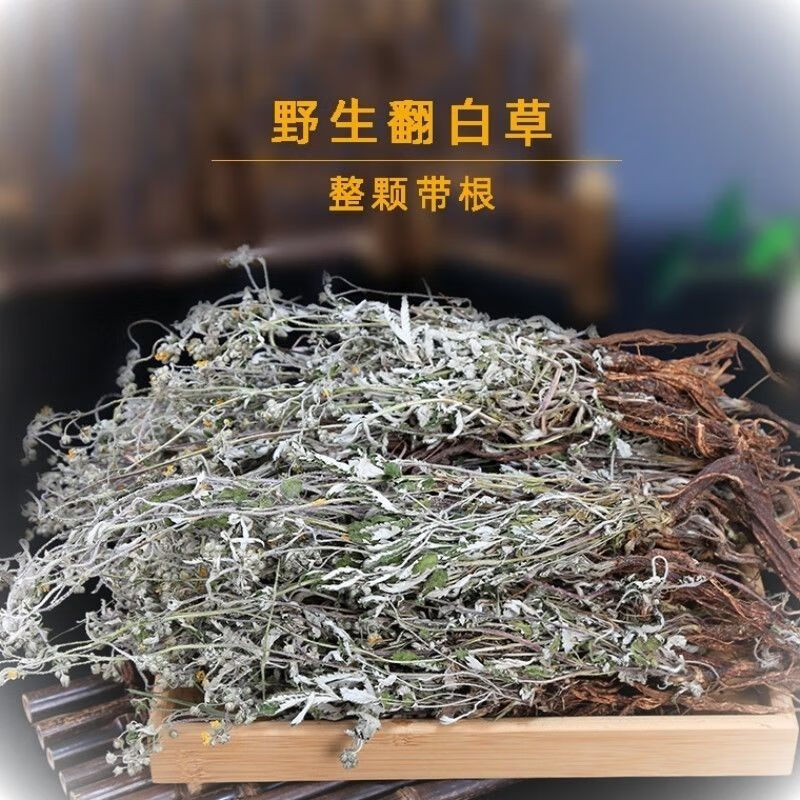 2021年翻白草降糖干品 野生新鲜整颗带根中药材翻白草 整颗 1000g