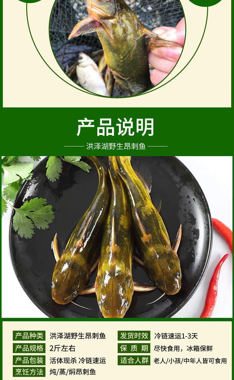 野生黄骨鱼新鲜黄辣丁黄颡鱼炖汤滋补昂刺鱼黄刺鱼鲜活现杀淡水鱼 昂