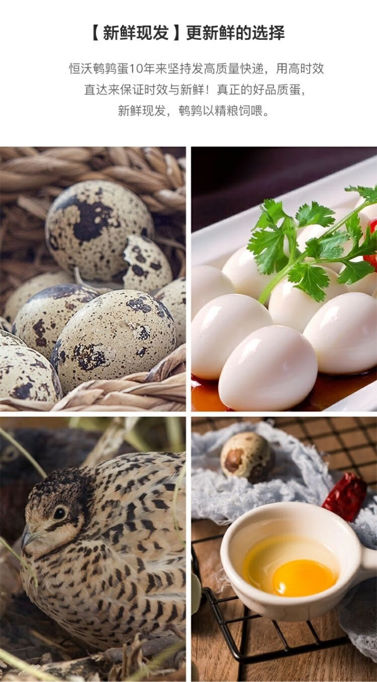 康健休闲食品专营店商品编号:10051891252044商品名称:生鹌鹑蛋50-200