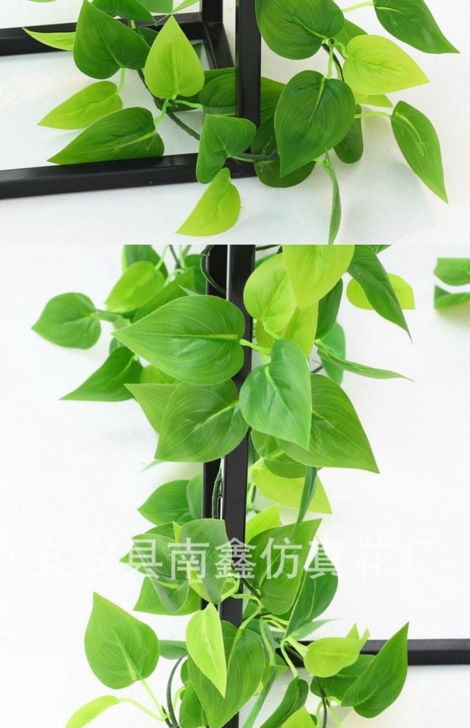仿真藤条绿萝叶装饰假树叶绿藤蔓塑料暖气水管道遮挡空调管子缠绕99片
