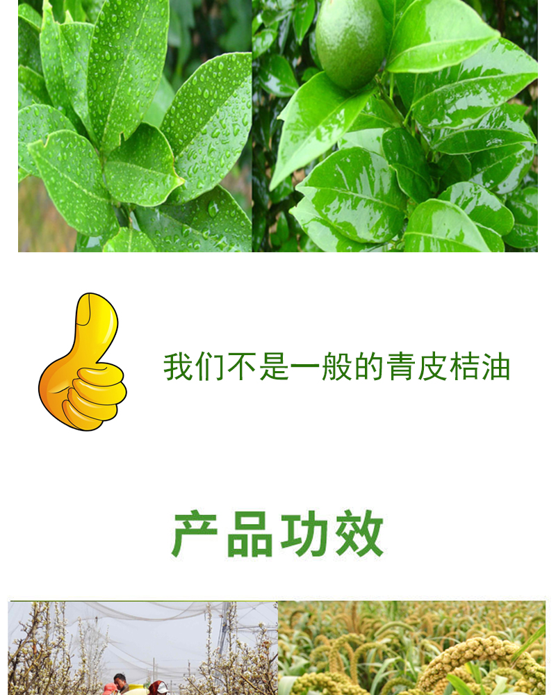 进口青皮桔油农用有机硅飞防助剂橙皮精油柑橘强渗透叶面肥增效剂