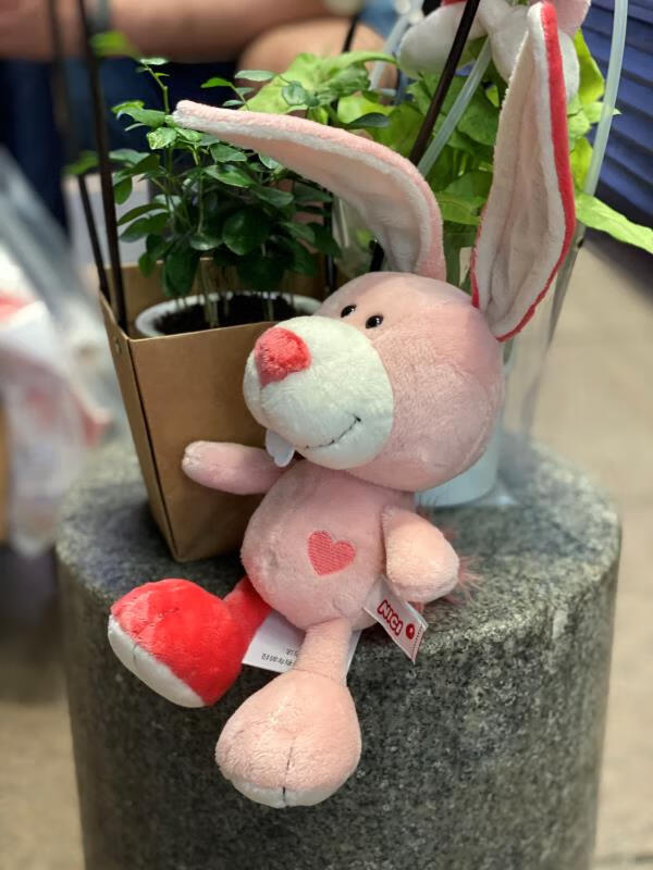 德国nici 狮子毛绒玩具粉狮子猴兔大象儿童生日礼物仔少女心可爱玩偶