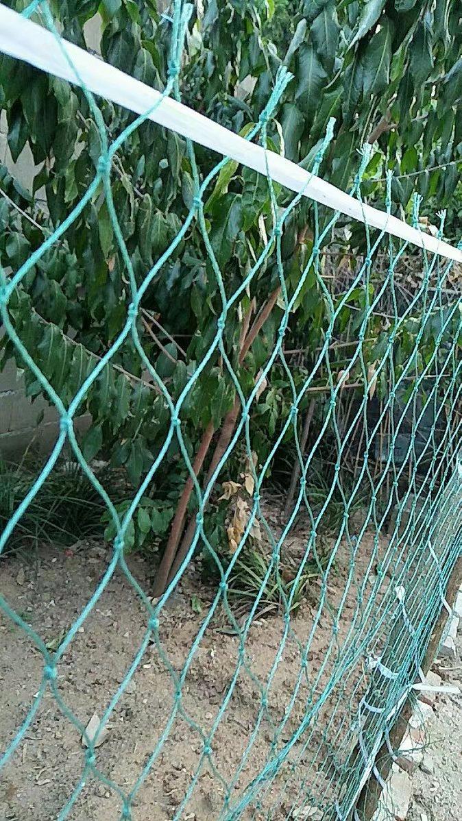 柒悦栖养鸡网栏鸡网围网养殖网菜园围网防鸡网拦鸡网围栏网尼龙网15