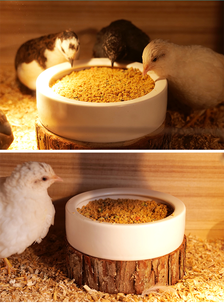 芦丁鸡饲料芦丁鸡专用饲料鹌鹑产蛋饲料中大小鸡雏鸡育雏开口粮玉米碎