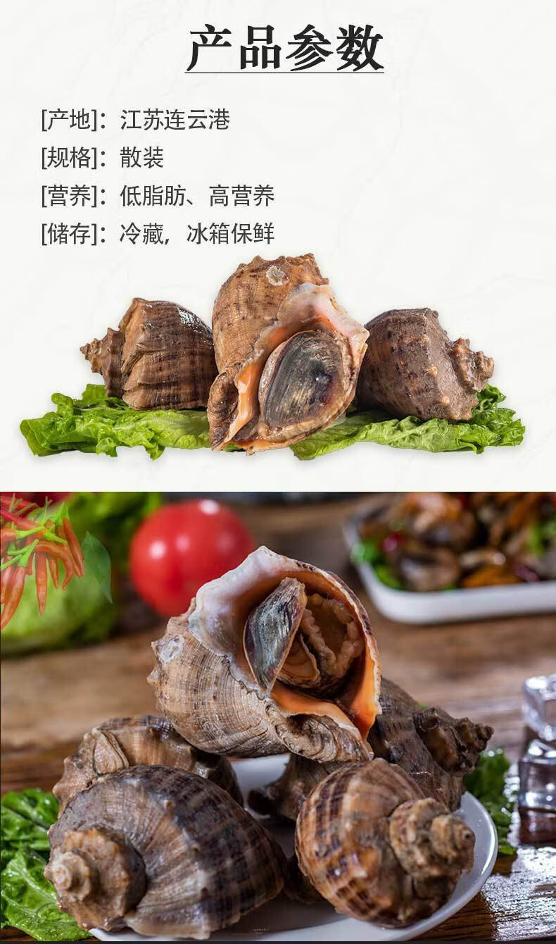 海螺鲜活海螺批发新鲜海捕海图腾贝类水产螺类海鲜超大号海螺花螺诺斯