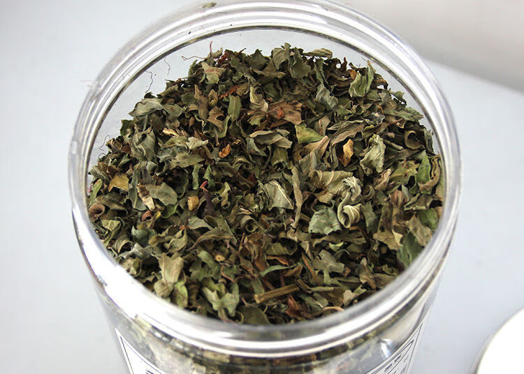 野生猫须草西双版纳猫须草茶纯叶天然晒干新货特级猫须草茶叶80g