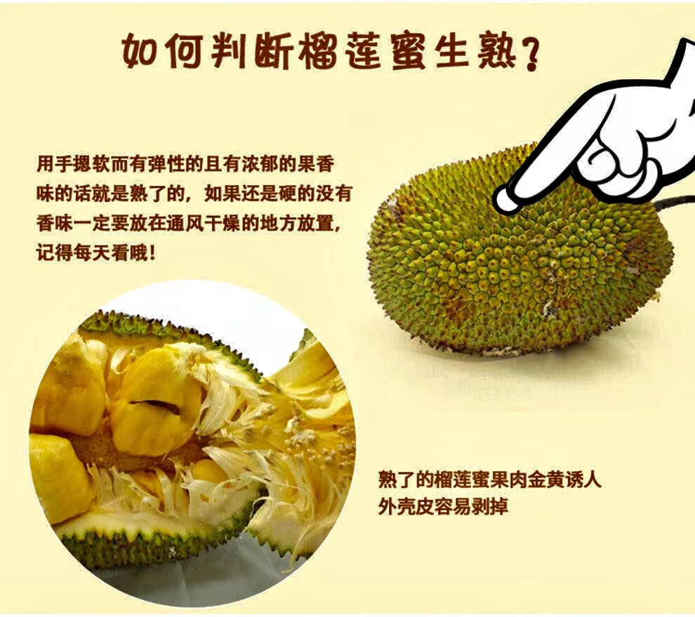 蜜新鲜热带水果不常见尖蜜拉多肉小个巴掌榴莲蜜海南5斤 1盒 熟了再开