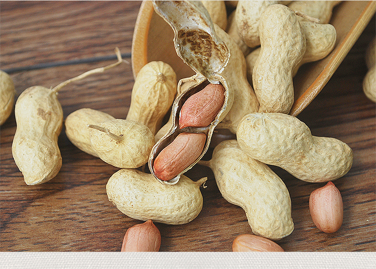 新生红皮花生米 东北带壳四粒农家新晒干散装新货炒熟花生 生带壳白皮