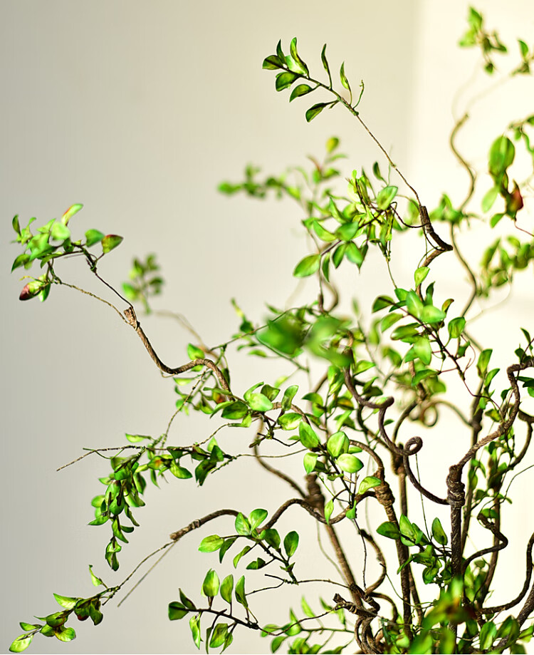 仿真树藤枯藤藤条装饰藤蔓树枝树干树叶婚庆吊顶植物绿植树枝 一枝