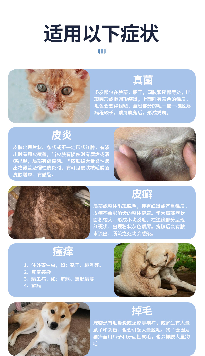 猫皮肤病对照图图片