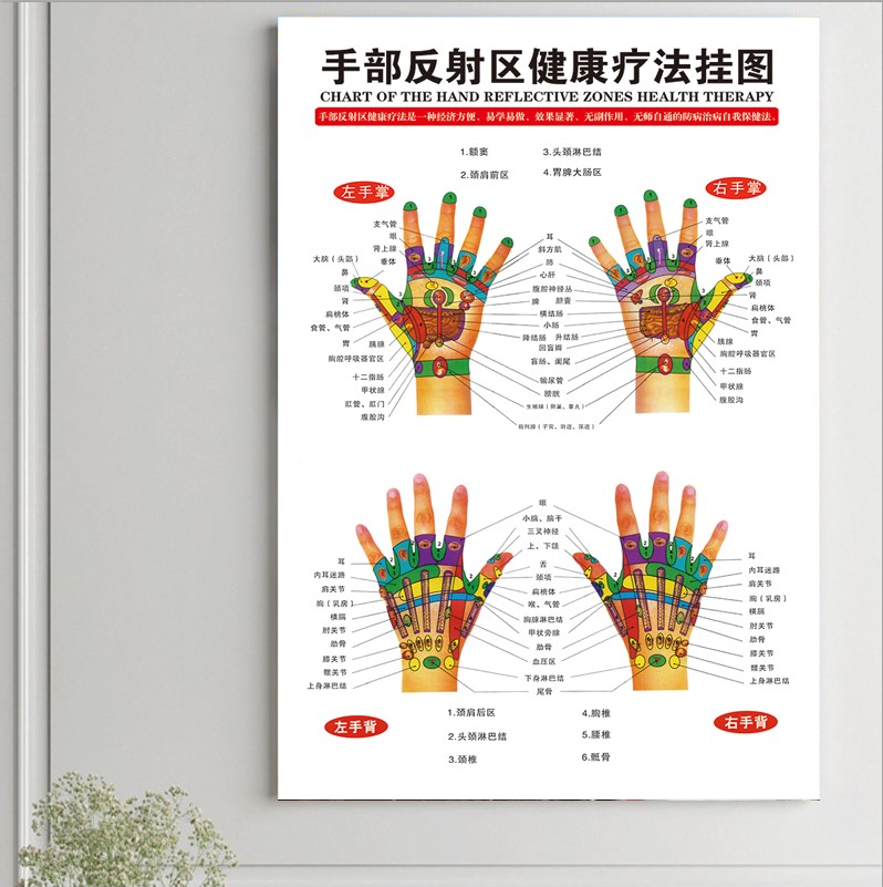 手部反射區健康療法掛圖耳部足部足療經絡穴位圖中醫養生保健海報 手