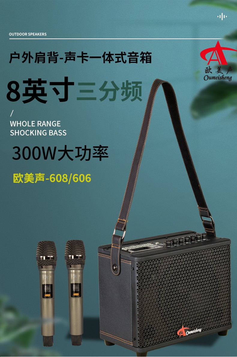 欧美声直播户外音响网红k歌便携声卡音箱乐器演奏大功率喇叭定制款 6.