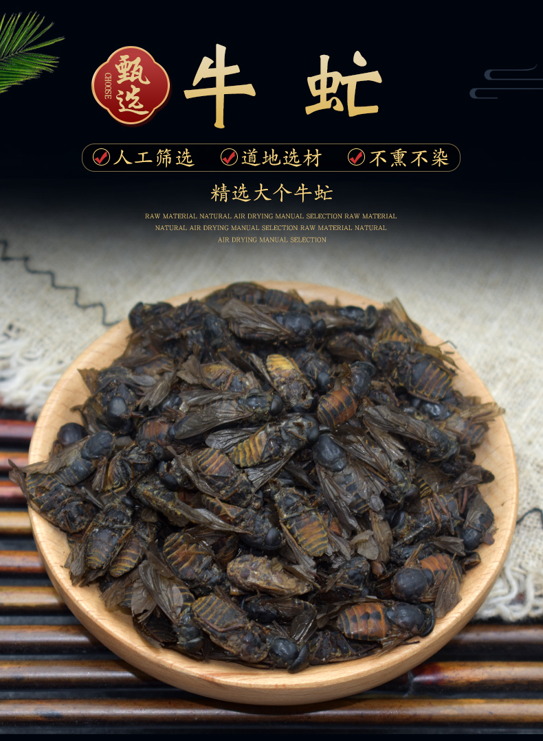 北京同仁堂牛虻中药材50克 牛虻药 精选大个牛虻虫