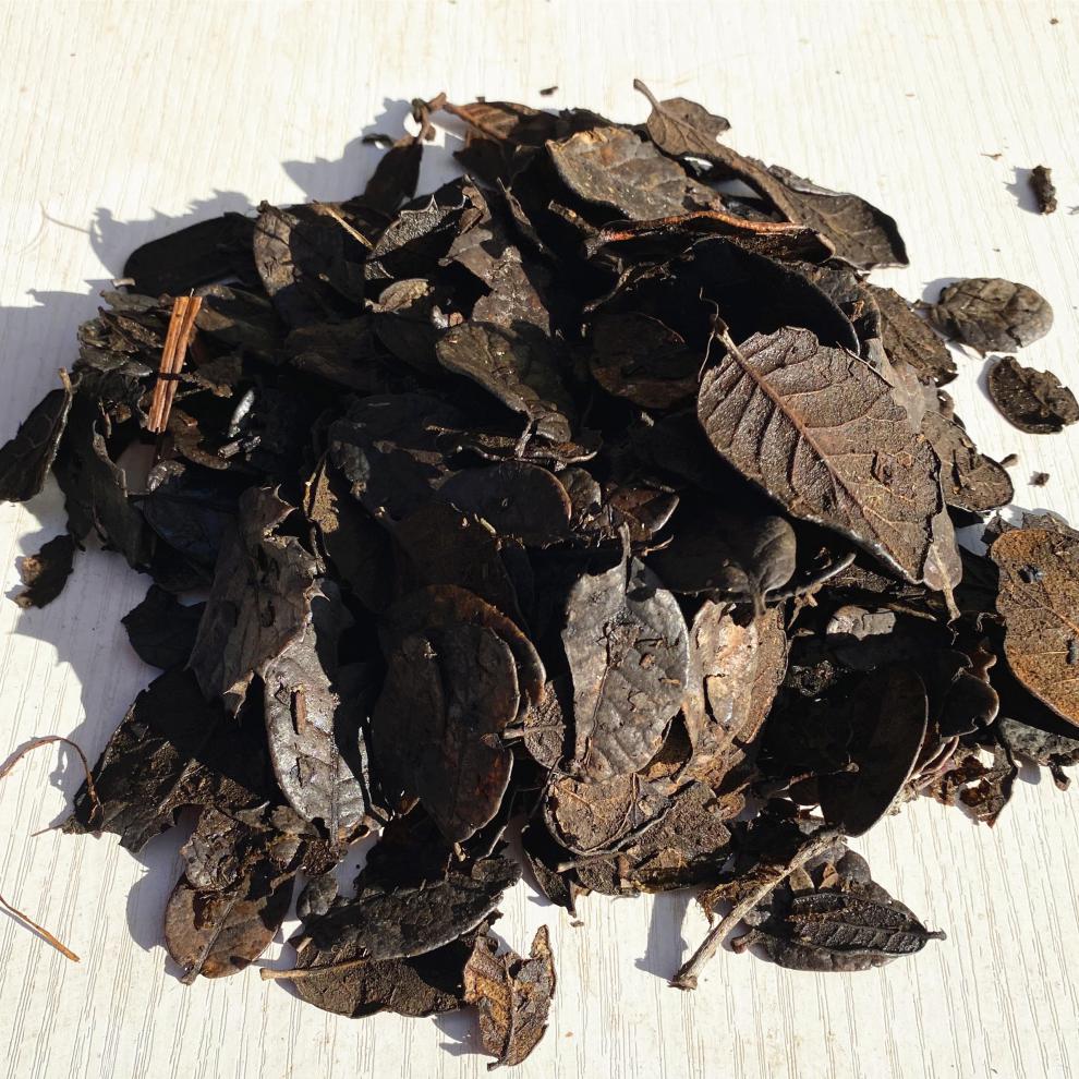 云南传统大包装刺栗叶发酵腐熟栗树叶耳叶兰花植料莲瓣兰配料 1.