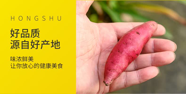 春耕牛红薯临安天目山小香薯心香甘薯正宗农家自种小番薯地瓜板栗薯
