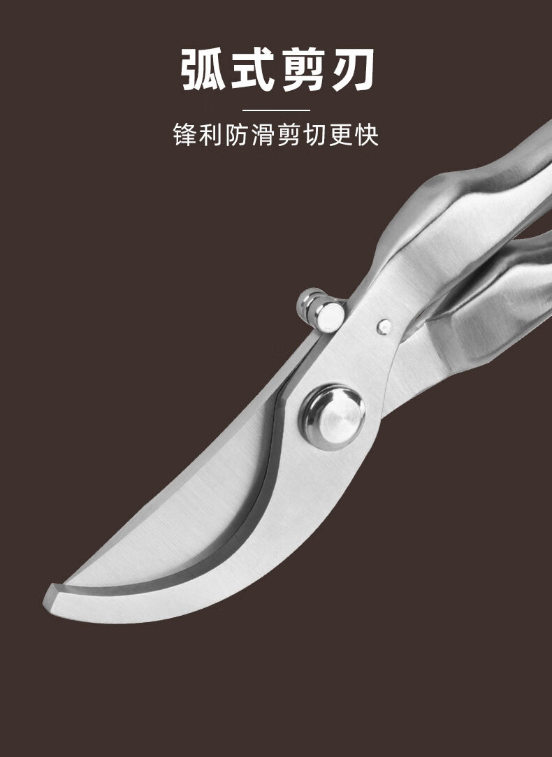 全钢修枝剪不锈钢果树省力尖嘴防锈园林园艺盆景花艺剪刀专用工具粗枝