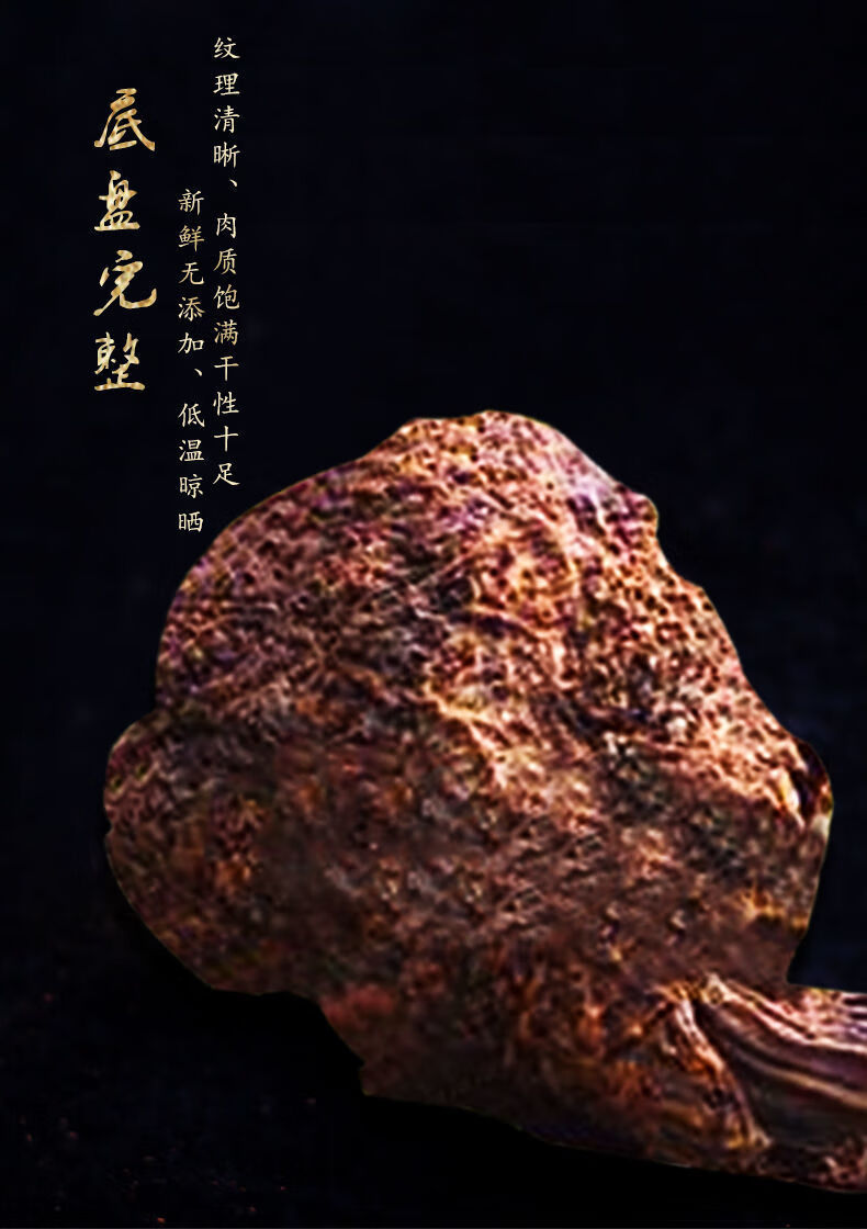 北京同仁堂原料中药材干品云南野生锁阳 顶天柱 续阳草 龙阳草100克