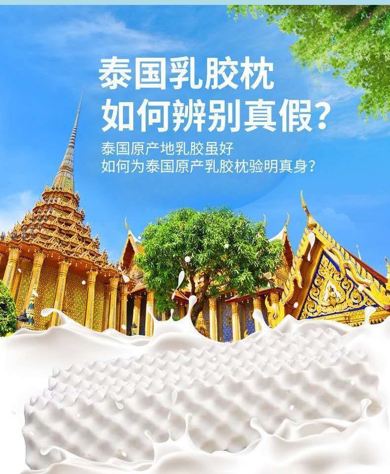 香港品牌泰国大象乳胶枕头原装天然乳胶枕芯单人枕乳白色一只装内外套